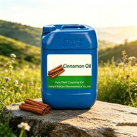 Extrait de cannelle, huile de cinnamaldéhyde naturelle de qualité alimentaire pour l'arôme, le savon, la bougie, la saveur alimentaire