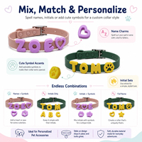 Collar Personalizado con Nombre de la Marca PUPE, Letras Inglesas, Adornos para Collares de Mascotas, Correa de Tracción Decorativa de Silicona para Perros