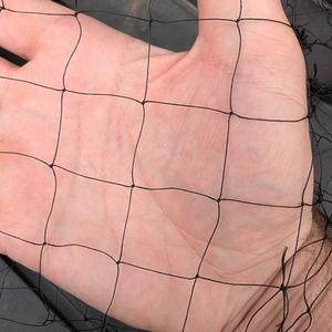 Filet anti-<span class=keywords><strong>oiseaux</strong></span> en polyéthylène haute densité, conception pour animaux et plantes, solution efficace de lutte antiparasitaire pour les champs de fraises - Product Image 1