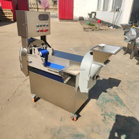 Dubbele Koppen Multifunctionele Snijmachine voor Bladgroenten, Wortelgroenten, Chinese Prei, Kool, Ui, Ananas
