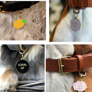 All'ingrosso etichette personalizzate in acciaio inossidabile per animali domestici con <span class=keywords><strong>nome</strong></span> inciso personalizzato divertente Logo gioiello ciondolo Charm per cani - Product Image 4