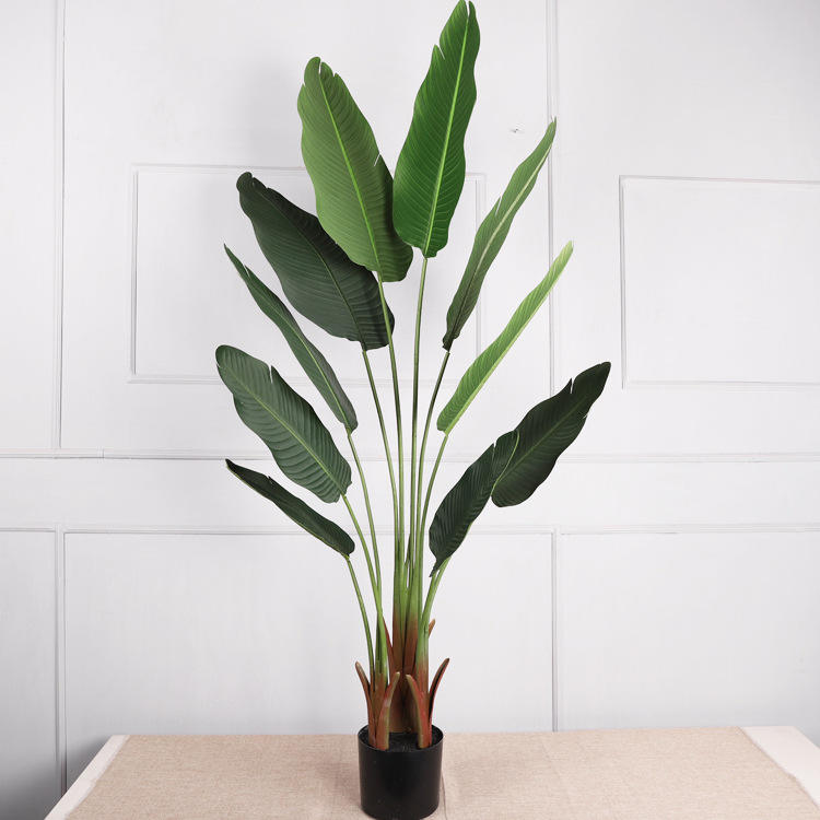 1.6m new traveler banana