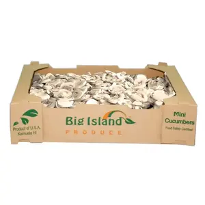 cardboard mushroom fresh mushroom box growing kit box with handle pulp recyacle packaging box