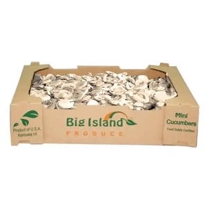 Caja de Cartón para Cultivo de Hongos Frescos con Asa, Caja de Pulpa Reciclable - Product Image 1