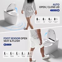 WC intelligent de haute qualité, cuvette de toilette électrique intelligente avec bidet intégré pour la construction résidentielle haut de gamme