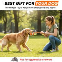Jouet interactif d'entraînement en plein air pour chiots, chiens de grande et moyenne taille, balle à tirer avec corde