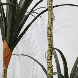 Plante artificielle décorative en pot, haute simulation, à tige fine, type Arbre du sang du dragon, centenaire - Product Image 4