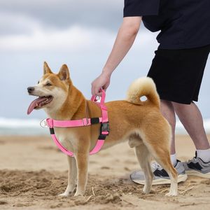Ensemble de laisse et de harnais pour chien de grande taille, robuste, tactique, rembourré en néoprène souple, anti-traction, réglable - Product Image 5