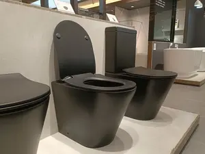 अमेरिकी मानक UPC आधुनिक यूरोप शैली गुरुत्वाकर्षण निस्तब्धता मैट काले दोहरी फ्लश शौचालय siphonic एक टुकड़ा शौचालय