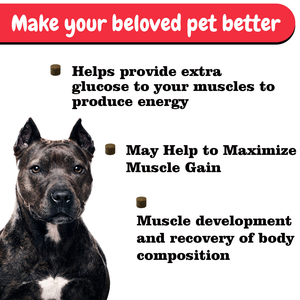 Golosinas Masticables Suaves OEM para el Crecimiento Muscular de Perros, Fortalece el Sistema Muscular de las Mascotas, Constructor Muscular Nutricional con Suplementos de Potencia para el Cuidado de la Salud - Product Image 2