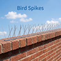 Piques anti-oiseaux en acier inoxydable pour le contrôle des oiseaux en extérieur, répulsif pour pigeons et autres volailles