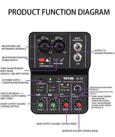 TEYUN Q12 Interface audio USB Métal Carte son 2 canaux Console de mixage Arrangement d'enregistrement Table d'harmonie