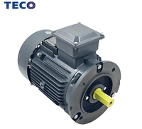Motor AC Berkualitas Tinggi Teco Electric 11kw 15kw 22kw 30kw 45kw 55kw 75kw Motor Listrik Asinkron 380v Motor Teco