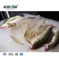 Machine à glace pilée personnalisée |   Système automatique de filtration d'eau salée de 2 à 20 tonnes à longue durée de vie pour petits navires de pêche