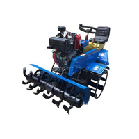 Machine à labourer le riz à moteur diesel, rotoculteur à roues pour rizières, cultivateur agricole, largeur de travail de 80 cm