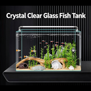 Aquarium domestique en verre incurvé - Petit aquarium écologique pour poissons et tortues - Product Image 6