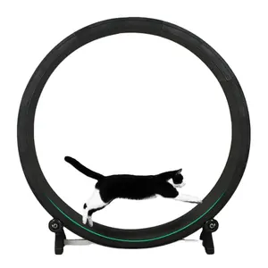 Haustierartikel große Größe leises Laufband Katzenaufzug Katzenaufzug Training