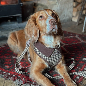 Conjunto de Correa y Arnés Acolchado de Lujo Grace Grid para Perros, Sin Tirones, con Lazo de Pana y Soporte para Bolsas de Excrementos - Product Image 4