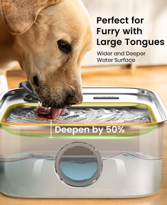 Dispensador de Agua para Mascotas de 10L 8L - Dispensador de Agua para Perros - Dispensador de Agua Automático para Mascotas - Dispensador de Agua de Gran Capacidad para Perros Grandes, Nuevo Modelo - Product Image 6
