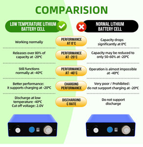 แบตเตอรี่แบบแท่งปริซึม 3.2V 100Ah ทนอุณหภูมิต่ำ พร้อมระบบจัดการแบตเตอรี่ (BMS) สำหรับการใช้งานทางทะเลและนอกกริด - Product Image 4