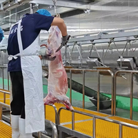 Machine d'abattage de chèvres à haute efficacité pour équipement avancé d'abattage d'agneaux