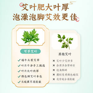 Kefu - Paquetes de hierbas secas de artemisia y artemisia a granel para baño de pies, uso doméstico, cuidado posparto, eliminación de humedad del cabello - Product Image 3