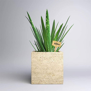 Étiquettes de plantes en bambou de formes variées pour semis, herbes, fleurs <span class=keywords><strong>et</strong></span> légumes en pot – Fournitures de jardin - Product Image 5