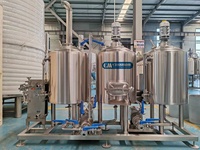 Équipement de Fermentation pour Microbrasserie et Pub, Capacité 100L 200L 300L 500L, Chaisse de Brassage en Acier Inoxydable, Cuve sous Pression avec Pompe, PLC, CE