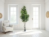 Arbre artificiel en feuilles de ficus lyrate / Faux ficus lyrate Plantes artificielles pour la décoration de la maison et du bureau