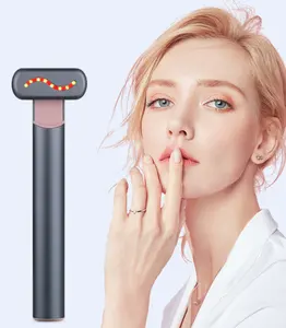USB Charging High Frequency Microseismic Fast Absorption Women 4-in-1 Eye Facial Skincare Massaging Beauty Wand for Home