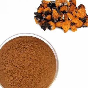 チャガ多糖50% チャガキノコエキス - Product Image 1