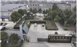 แปรงสีฟันสำหรับผู้ใหญ่ MR Oral ขนแปรงนุ่ม ทำความสะอาดล้ำลึก สำหรับใช้ในบ้าน ผู้ผลิตขายส่ง - Product Image 6