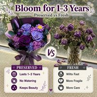 Bouquet de roses violettes préservées, 100% fleurs réelles, boîte cadeau éternelle longue durée pour anniversaire, fête des mères, Saint-Valentin