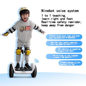 Ninebot L8 Trung Quốc Giá Rẻ 300W Động Cơ Pin Lithium Trẻ Em Cân Bằng Xe Tay Ga Hoverboards 14 Km/H 12Km Với Ba Lái Xe Chế Độ - Product Image 3