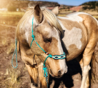 Ensemble de licol et de longe pour cheval, fabriqué par Horse Lead Equip, avec protège-museau, crochet, corde en paracorde tressée à la main, licol en nylon pour l'équitation