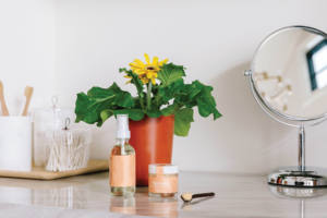 Kit de plante de parfum de bougie brillante, vente en gros, kit de fabrication de bougie parfumée, Kit de positivité rayonnante, bougie DIY dans un pot de <span class=keywords><strong>jardinière</strong></span> - Product Image 4