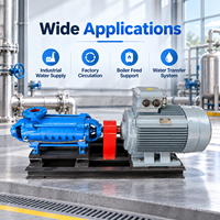 Pompe centrifuge horizontale multi-étages à haute pression série North One DDG pour le transfert de boues industrielles et de liquides miniers