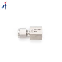Raccord en acier Ffor Pipes Connecteur femelle en acier inoxydable 304/316 1/8 1/2 1/4 3/8