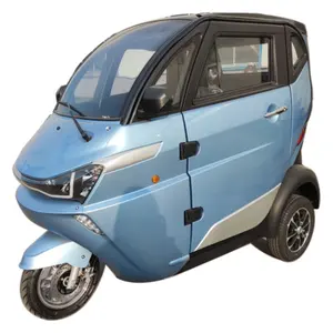 Three-Wheel RUNHORSE J1 Li-Battery Mini Electric Car Vehicle 2023 Family Old Man Electric Cars 120km Range In Stock