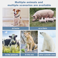 Machine vétérinaire portative ZY-S1 d'ultrason pour les grands animaux de ferme S1 électrique avec la matière plastique