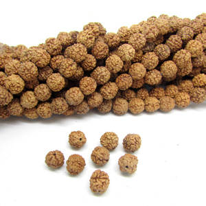 SB6323 Hạt Giống Nepal Rudraksha Mala 108 Hạt Cầu Nguyện - Product Image 1