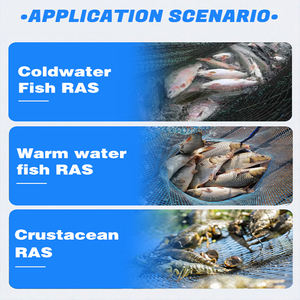 Système d'aquaculture WOLIZE RAS pour l'élevage de poissons d'ornement, maintien de couleurs vives et d'états sains - Product Image 6