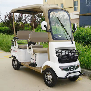 Minibús A5 de Cuatro Ruedas con Toldo, Cuatro Asientos, para Personas Mayores y Discapacitadas, Scooter Eléctrico Familiar con Motor de 650w - Product Image 6