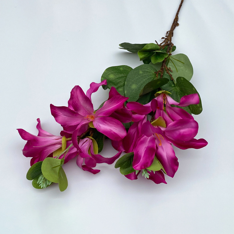 Jasmine flower jn-medium purple