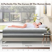 Matelas en mousse à mémoire de forme et ressorts ensachés individuels COSTFULL, 10 pouces, taille King/Queen, roulé en boîte