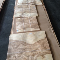 Chapa de Madera de Fresno de Olivo Cortada en Rodajas para Decoración