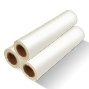 A3 A4 Transfer Film Cold Peel 30cm 33cm 60cm Hot Peel Non-Slip DTF PET Film Roll untuk DTF cetak di T-shirt katun