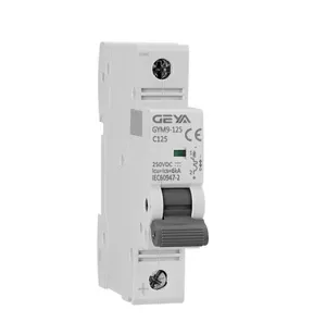 GEYA GYM9 DC circuit breaker Air switch 125A overload perlindungan arus pendek bus Single bus 1P 80A-DC