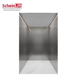 Ascensor Residencial de Acero Inoxidable para Casa o Villa, de 250kg-630kg, Entrega Rápida, Precio de Fábrica - Product Image 1