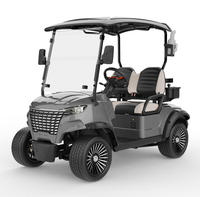 Voiturette de golf électrique haute performance 2 places, batterie lithium 48V, autonomie 70 km, véhicule de golf électrique en gros